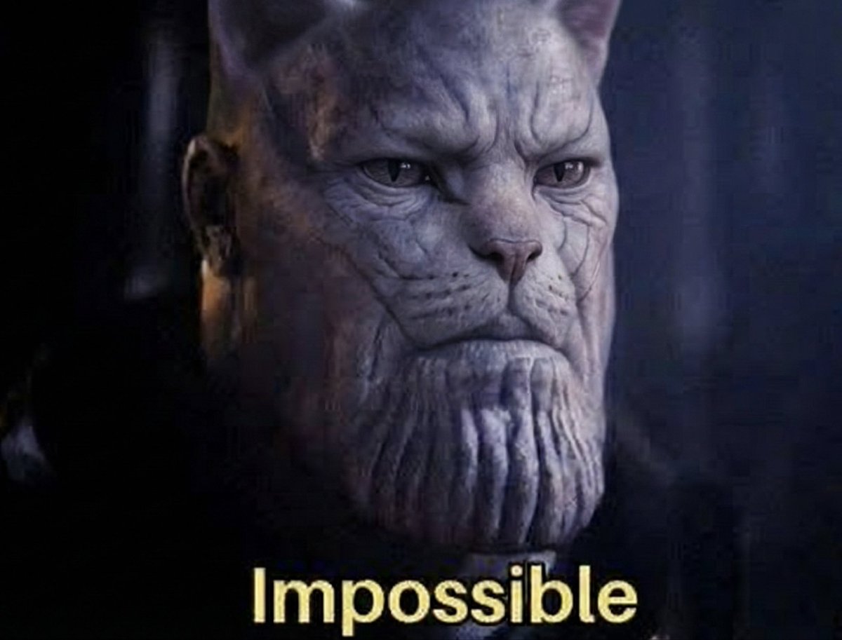 KittehCoinSOL tweet media