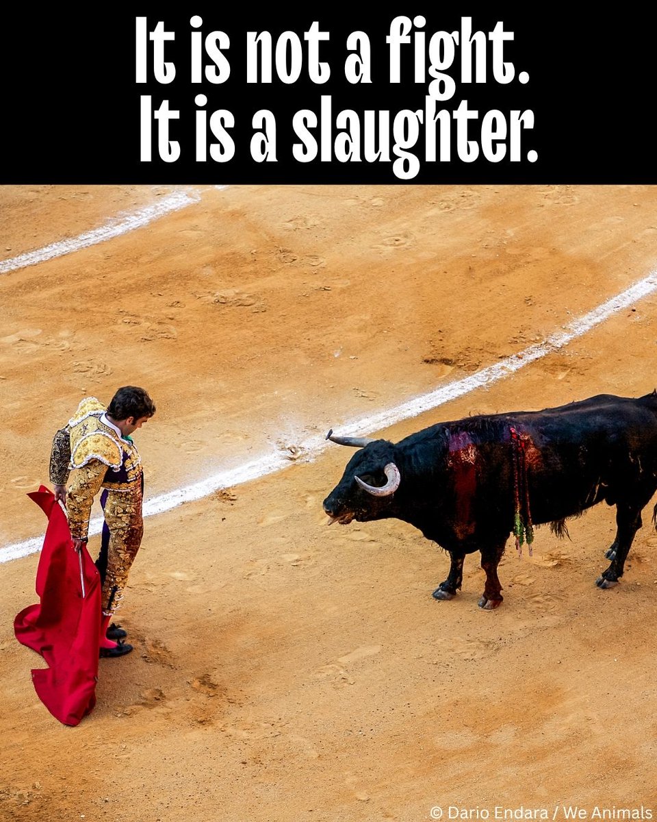 PETA UK tweet media