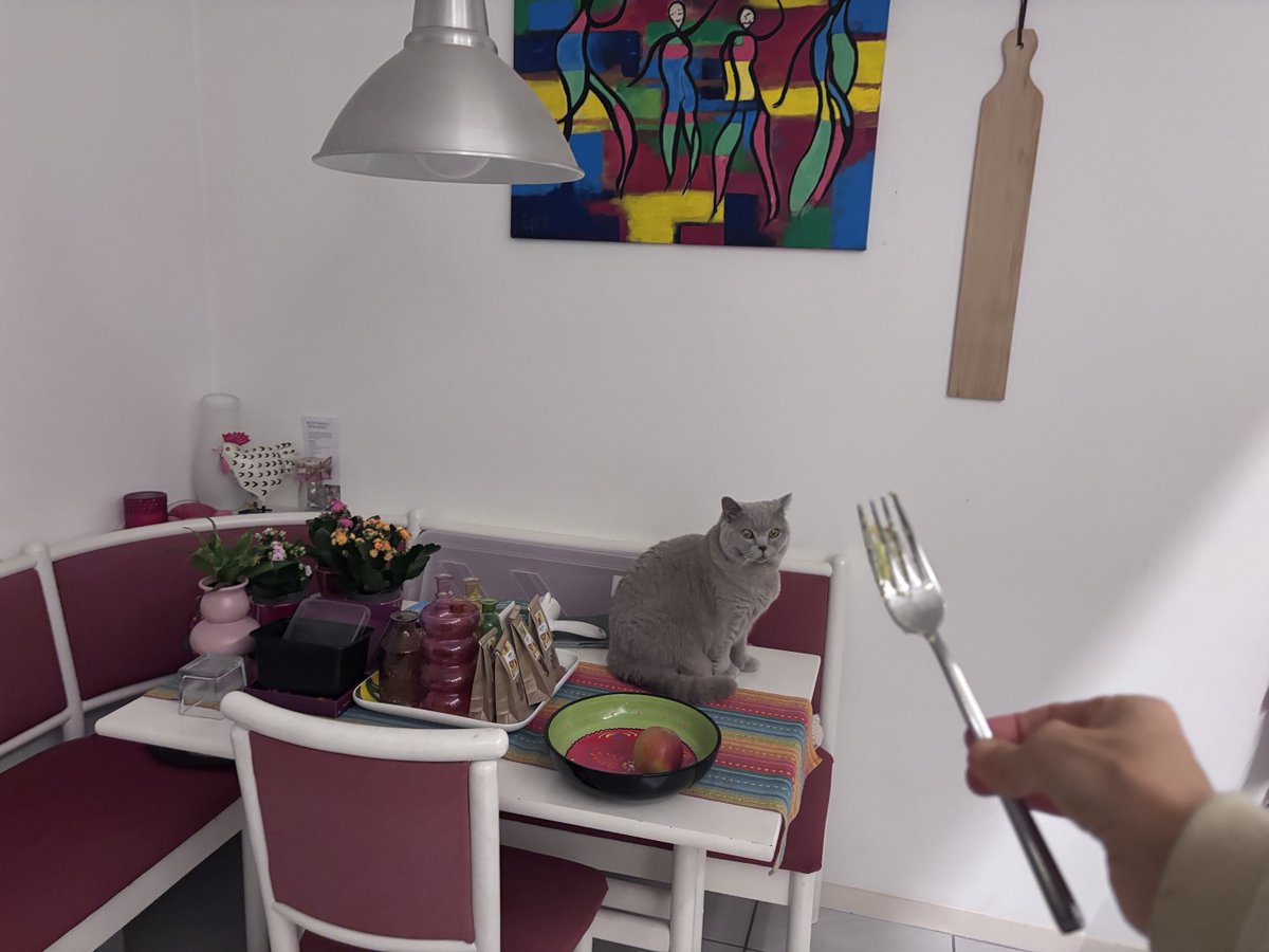 British dinner 🍽️ time