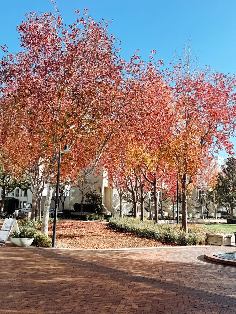 Brianne Kimmel tweet media