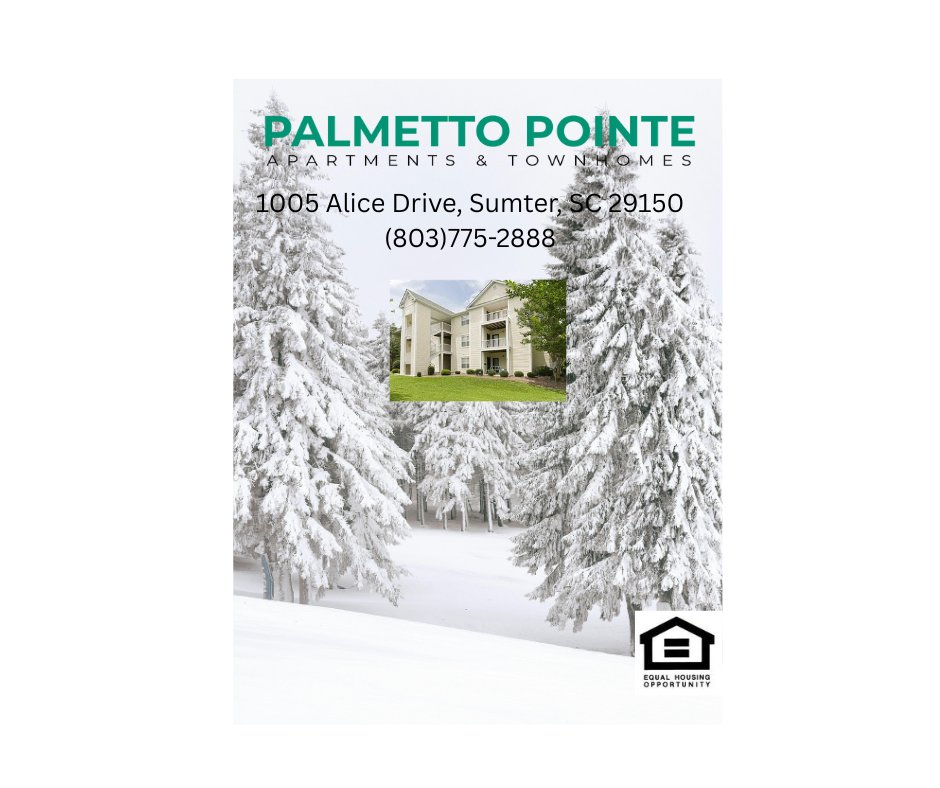 Palmetto Pointe Apt (@palmettopointe) on Twitter photo 