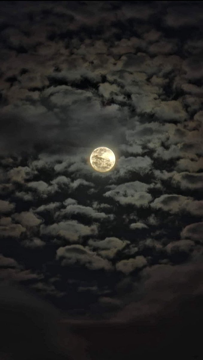 بالعيون الصح،راح تكونين لوحة❣️.