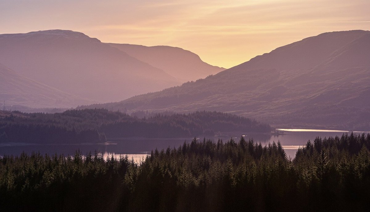 Robert Gibb tweet media