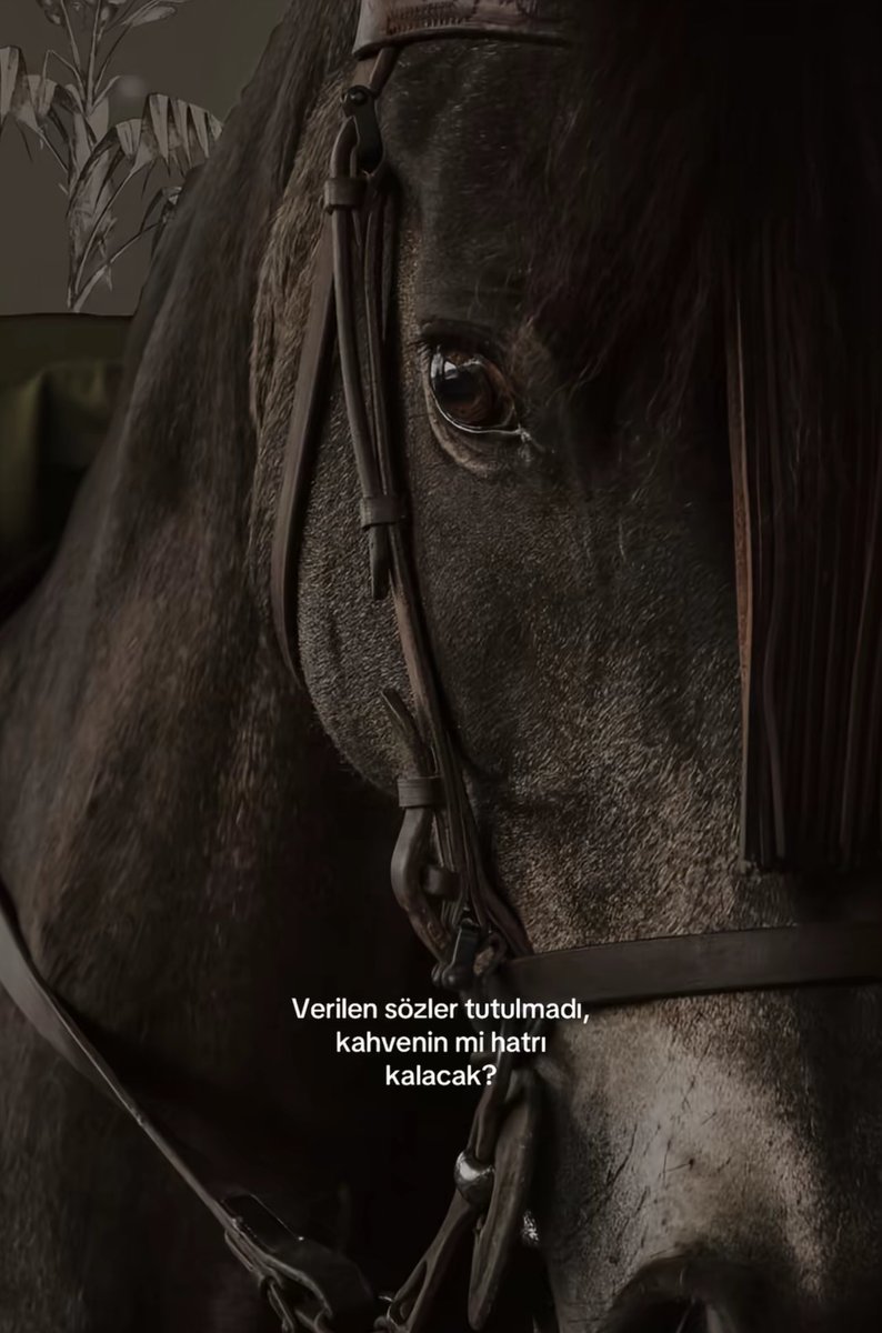 Bir gün var asra (@birgunvarasra) on Twitter photo 