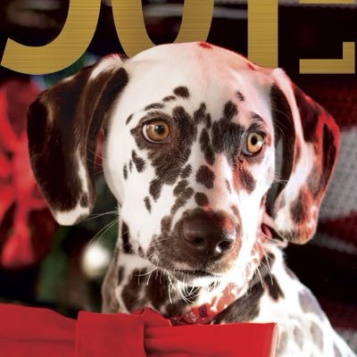 501 LIFE tweet media