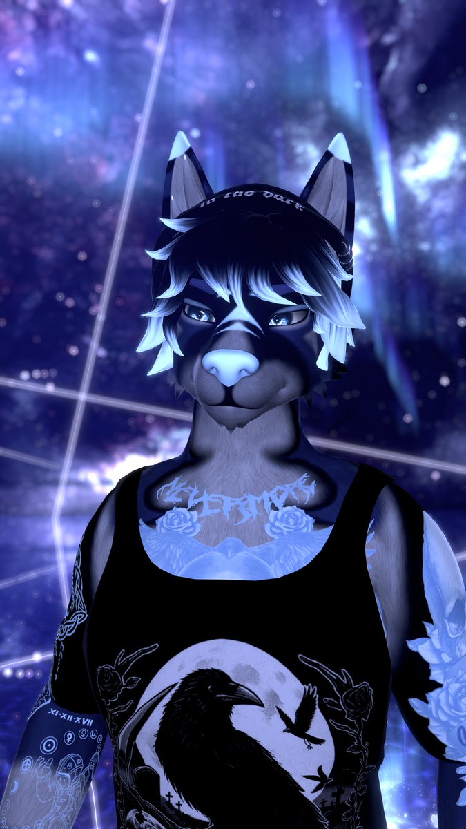 Phaidrus tweet media