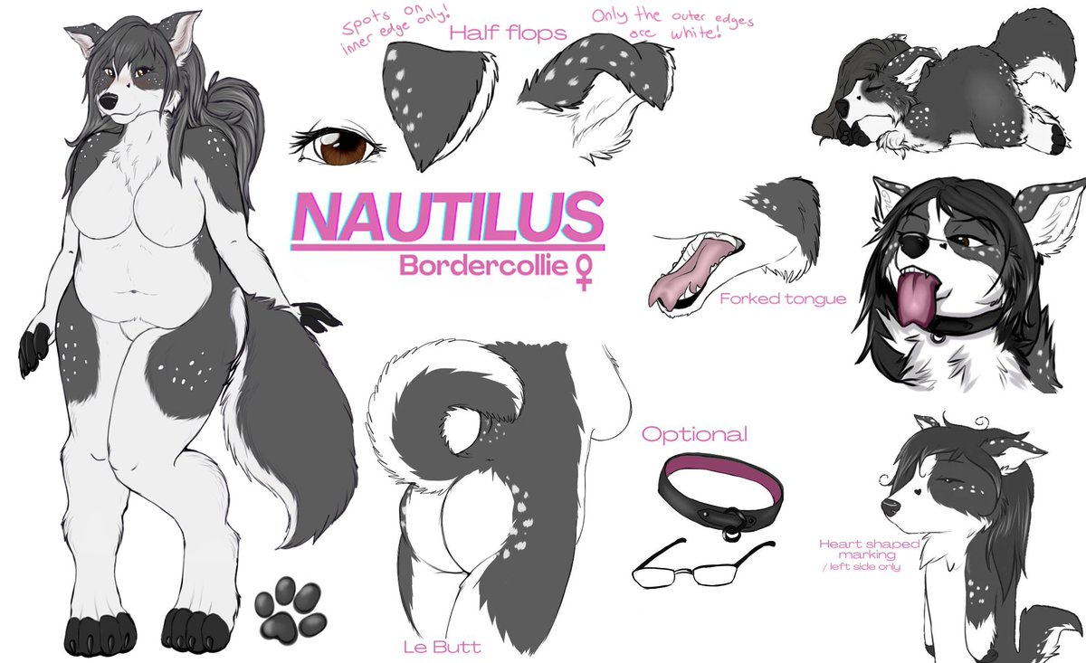 ..:Nautilus:.. tweet media