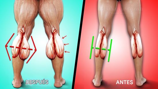 7 EJERCICIOS en casa para pantorrillas GRANDES🍗

- 🧵 -