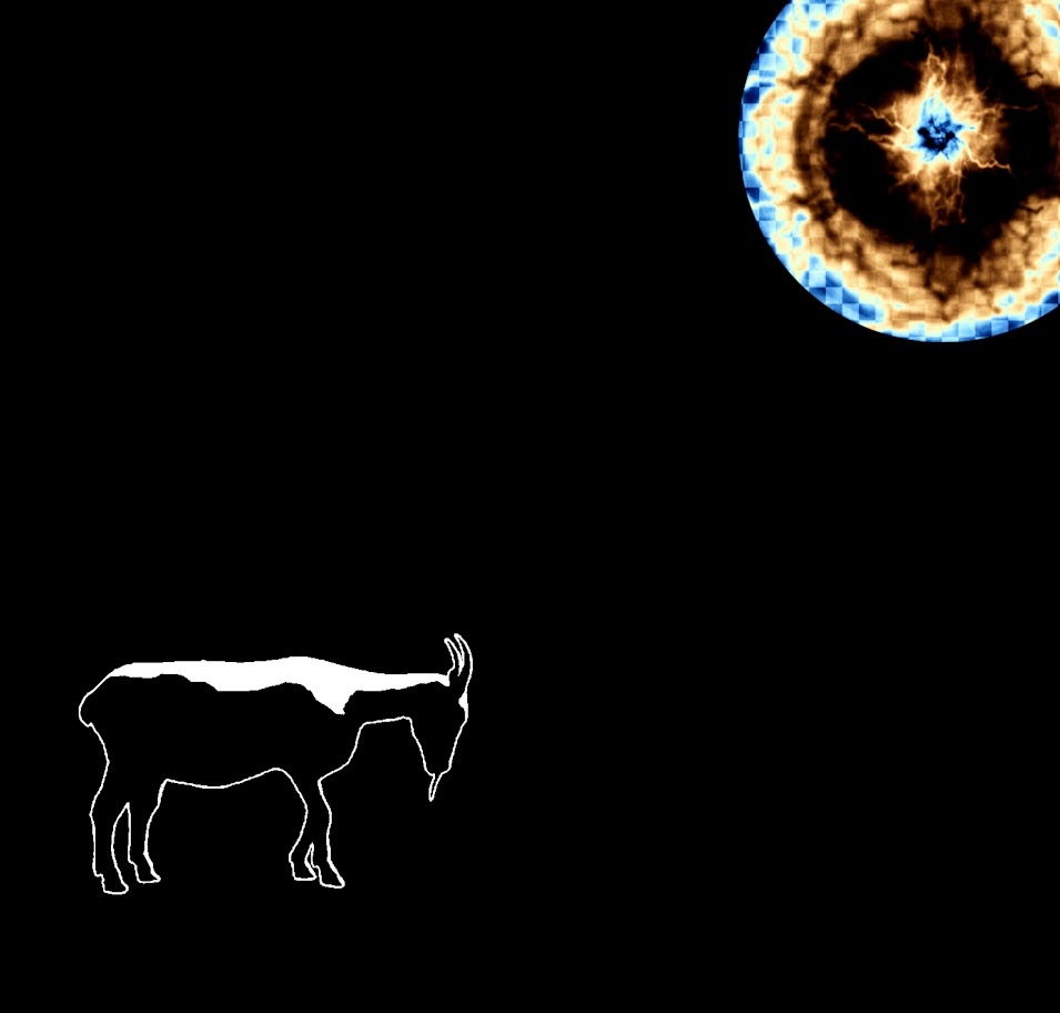 David Stoyanov tweet media