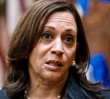 TroyNeff68's tweet image. DEI = Didn’t. Earn. It.

Kamala was never the people’s choice. She was the DEI candidate the party elites hand picked after stabbing Biden in the back. 

And you Democrat voters?
You didn’t stop it. You just swallowed it and pretended it was democracy.”

#DEI #Election2024…