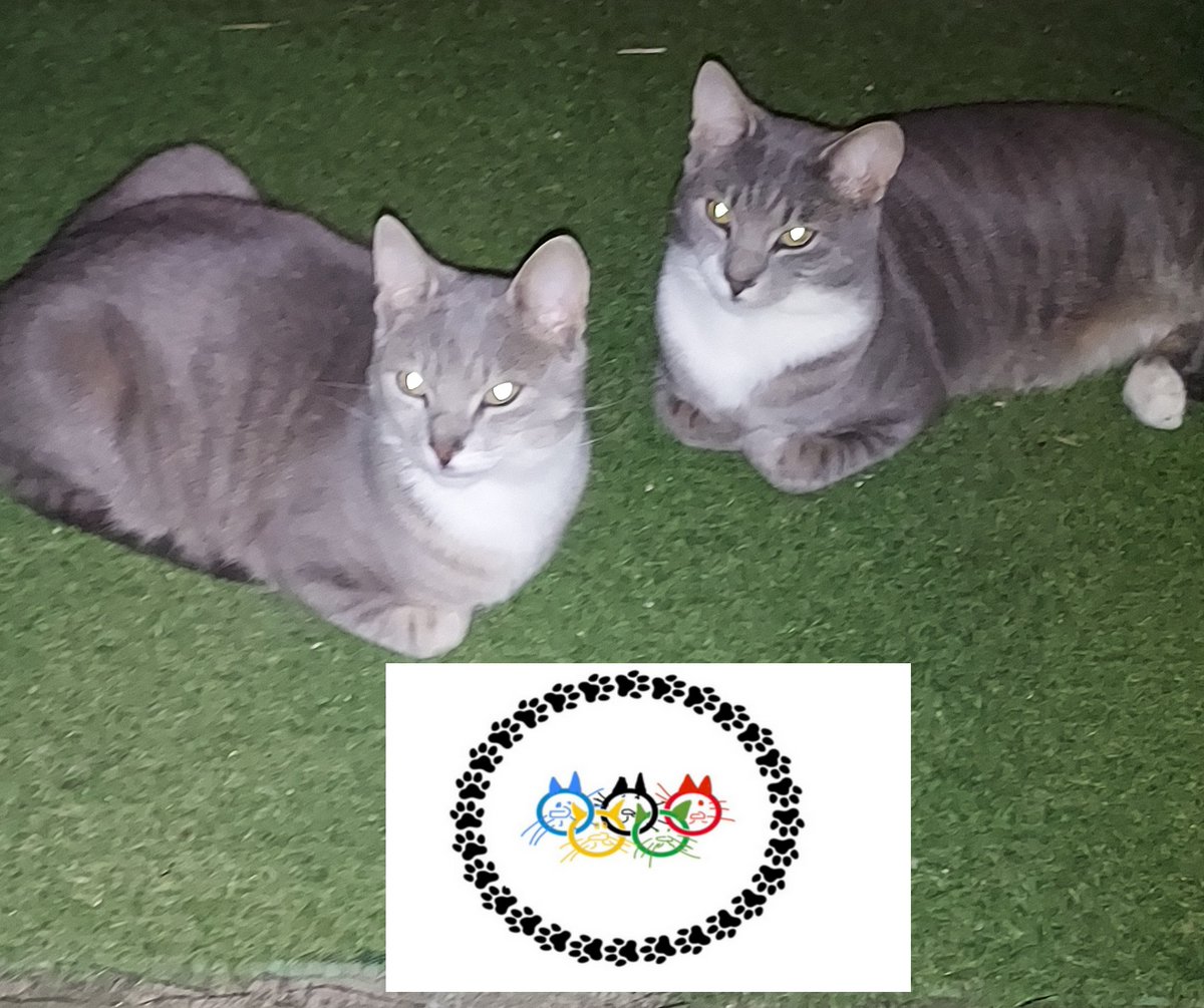 nieuwe profiel foto.