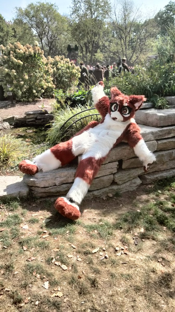 how to find me at #MFF25 !!

this cat!! ill be partialing the whole time, you can find me with my gf as the other cat (in the first pic) #midwestfurfest #mff2025