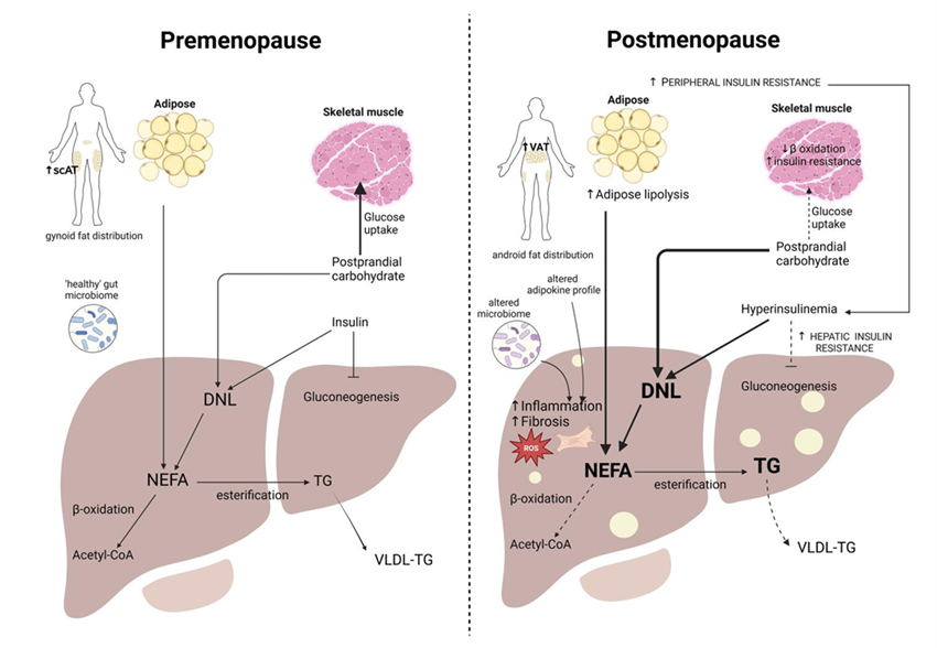 Sociedad SEEN tweet media