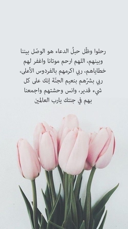 آلاء العتيقي ⚖️🔻 tweet media