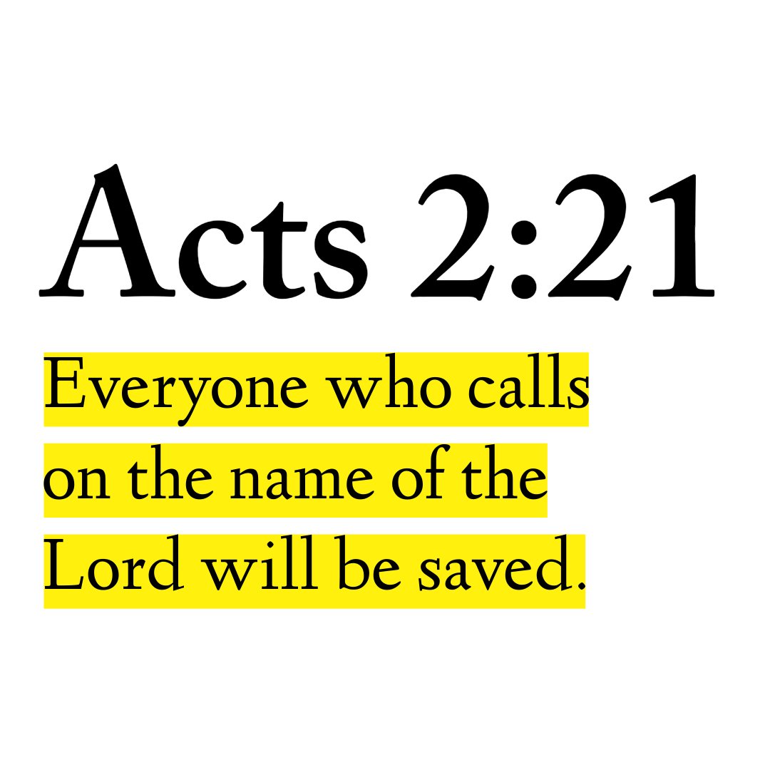 Holy Bible tweet media