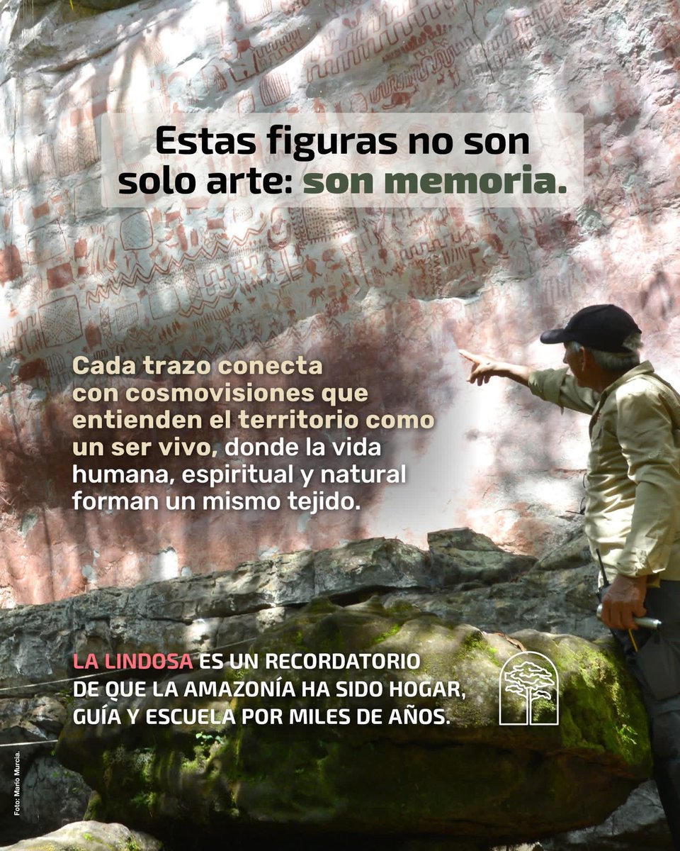 Lo que aprendimos en el recorrido por Cerro Azul, en la Serranía de La Lindosa, va más allá del arte rupestre:
Este lugar emblemático del Guaviare es memoria ancestral viva, grabada en las montañas.

La Amazonía habla, y escucharla requiere detenerse, observar y reconocer su