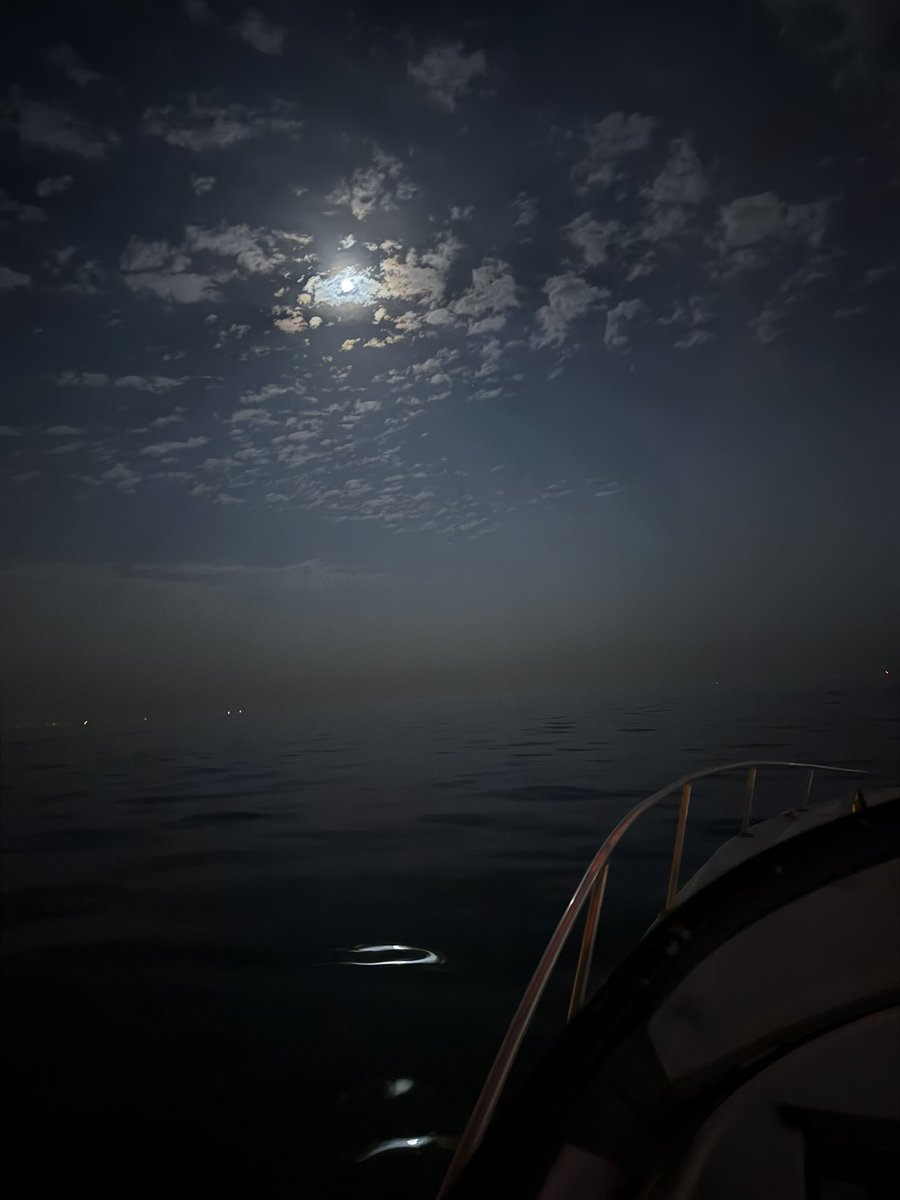 Sarah Hayat. tweet media