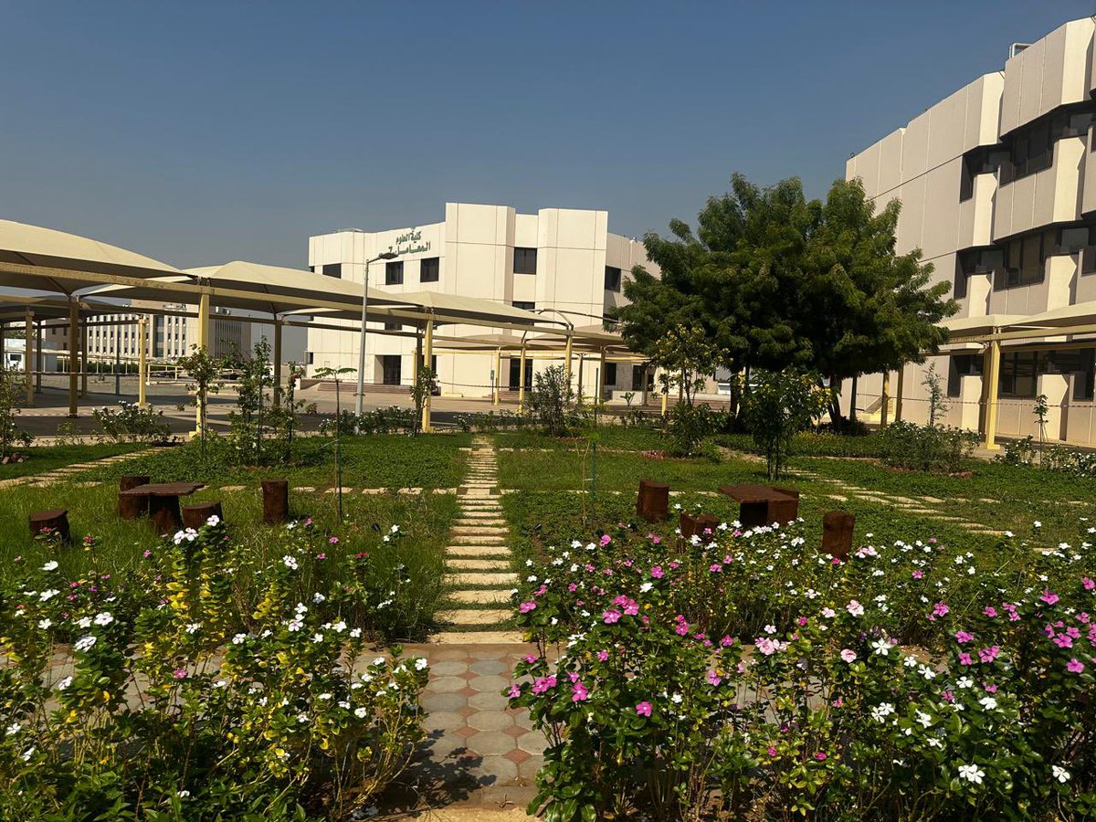 جامعة جدة tweet media