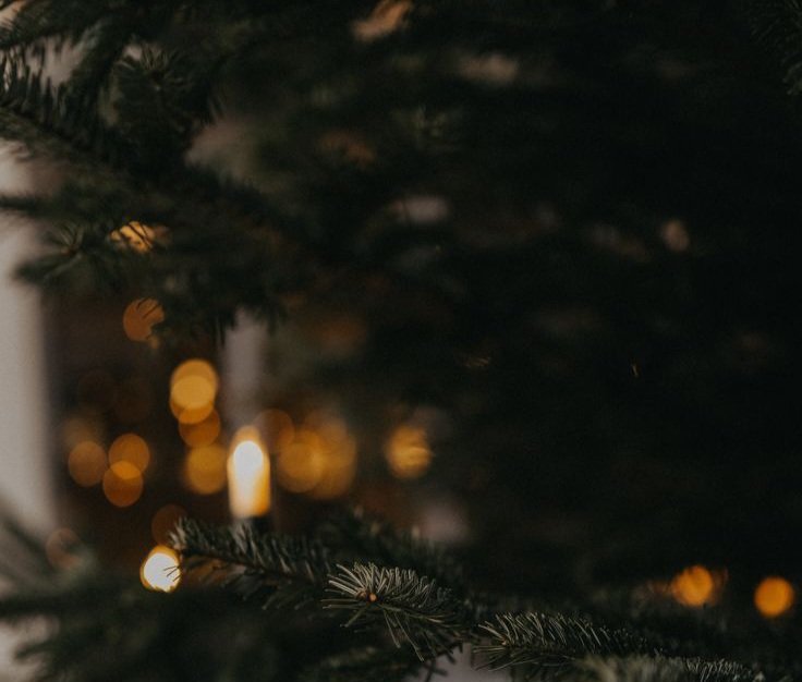 𝘭𝘢𝘶𝘳𝘪𝘴𝘢 ִֶָ tweet media