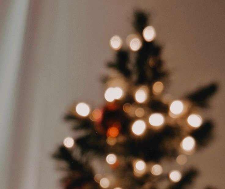 𝘭𝘢𝘶𝘳𝘪𝘴𝘢 ִֶָ tweet media