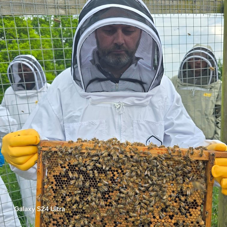 Barnet Beekeepers tweet media