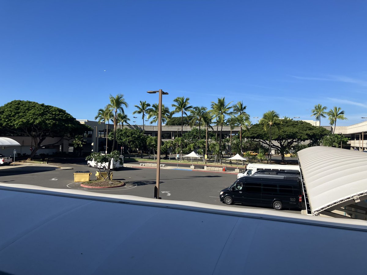 着いた〜アロハ〜