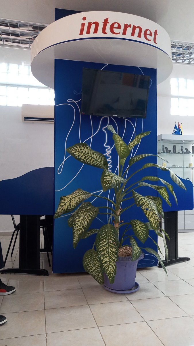 Hermosa conjugación en perfecta armonía entre naturaleza y Unidad Comercial de #EtecsaJobabo, lugar acogedor para nuestros clientes