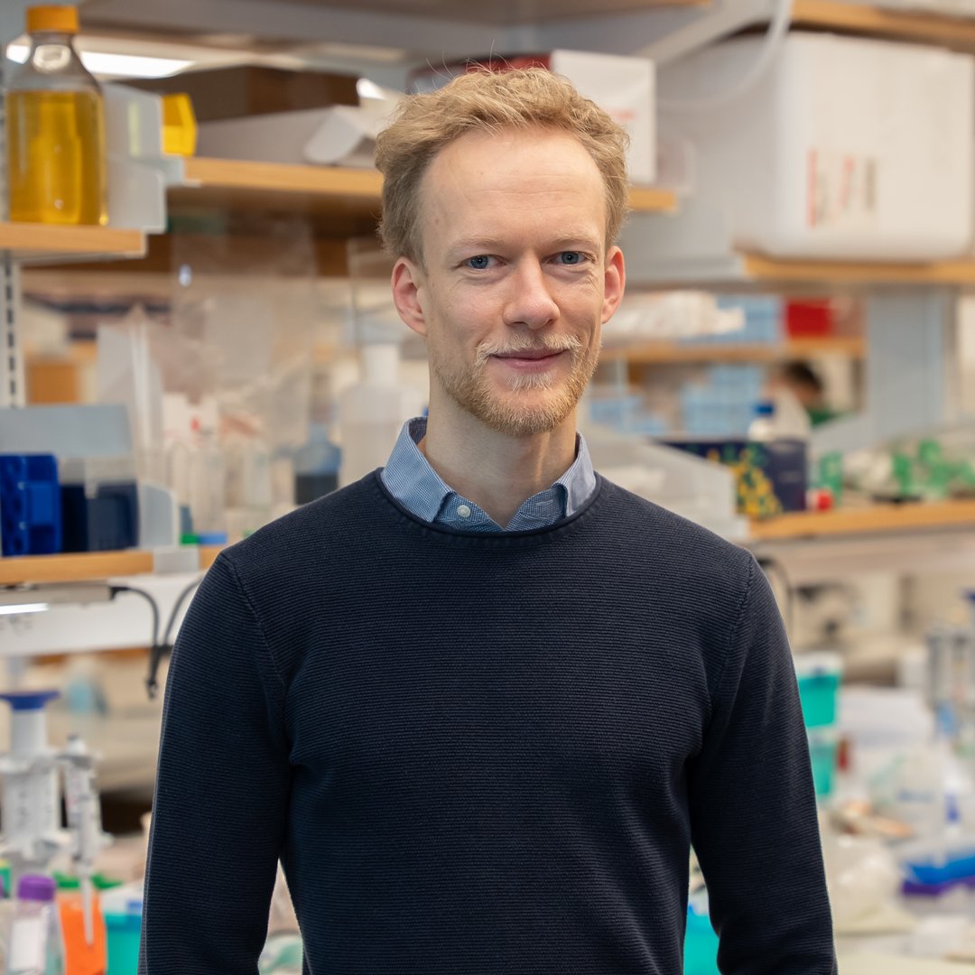 UMassChan's tweet photo. Lina Marcela Carmona, PhD, and Nils Grotehans, PhD, are two of 26 early career researchers to receive competitive awards from the American Federation for Aging Research and the Glenn Foundation: https://t.co/ks0aTHYfoE

The awards will support research on the biology of #aging. https://t.co/AYs08HlP9k