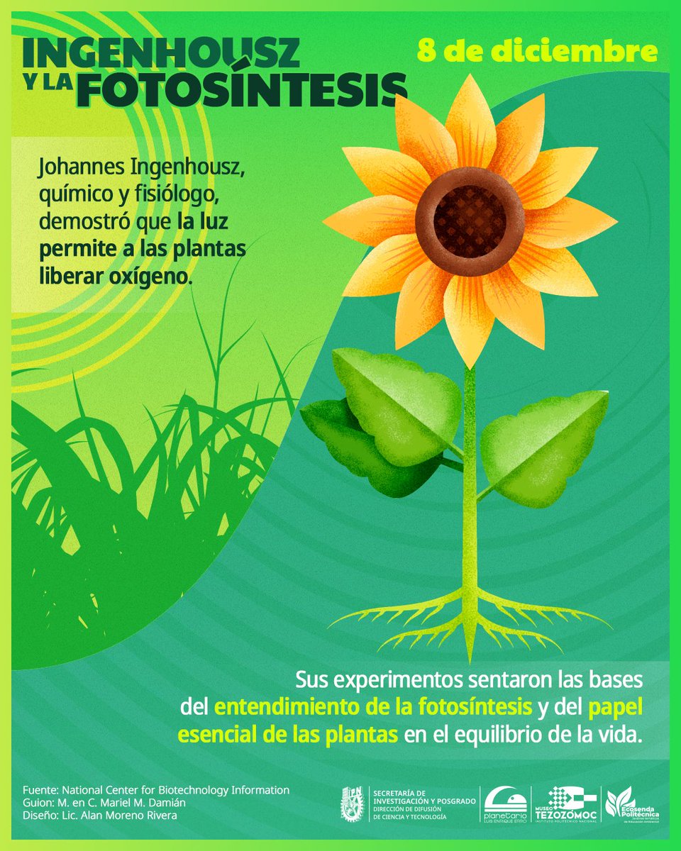 ✨ Johannes Ingenhousz, químico y fisiólogo, nacido el 08 /12/1730, 🔎descubrió que la ☀️luz solar es la clave para activar la 🌻fotosíntesis, propiciendo que las plantas generen oxígeno y mantengan el equilibrio de gases en la atmósfera.

#IPN #DDICYT #JohannesIngenhousz