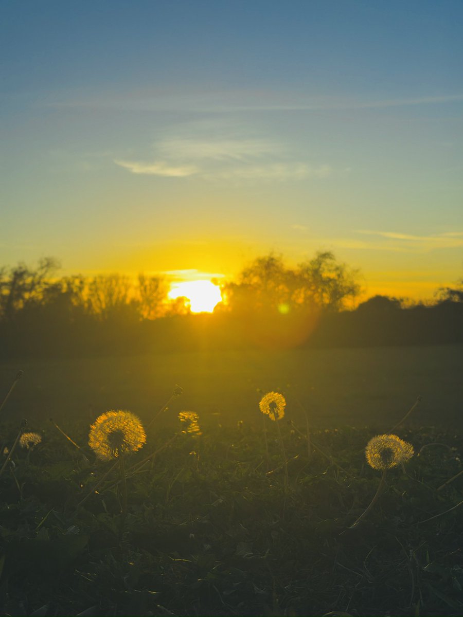ctrl_zii_'s tweet photo. 🫧🌞🦋🌱 https://t.co/6fmYdG5q0g