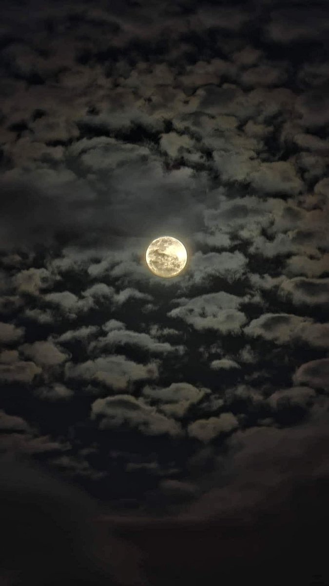 #قمر_الليله

" نُور القمر مهما السحايب تغطيه
واضح مثل وجهٍ عن البال ماغاب "

.

#غرد_بأجمل_عبارة