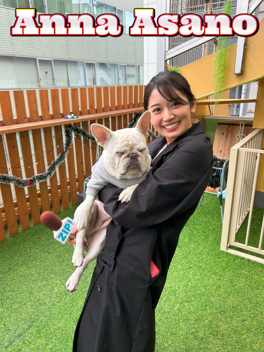 タヌさん くも〜りﾀﾇかな❓暗くてよくわかんないﾀﾇ( ³ω³).｡o 今日は2025年最後の