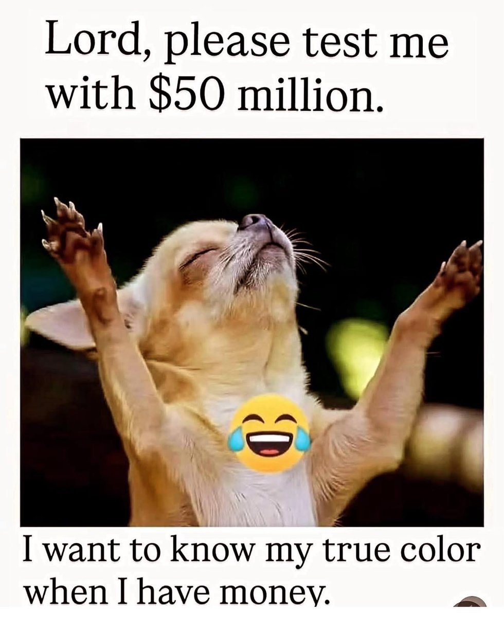 wode_maya's tweet image. 