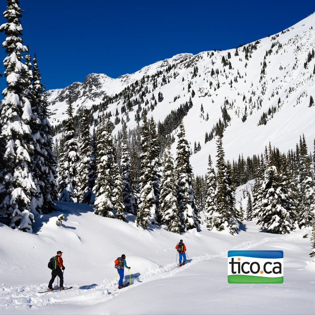 TICO (The Travel Industry Council of Ontario) tweet media