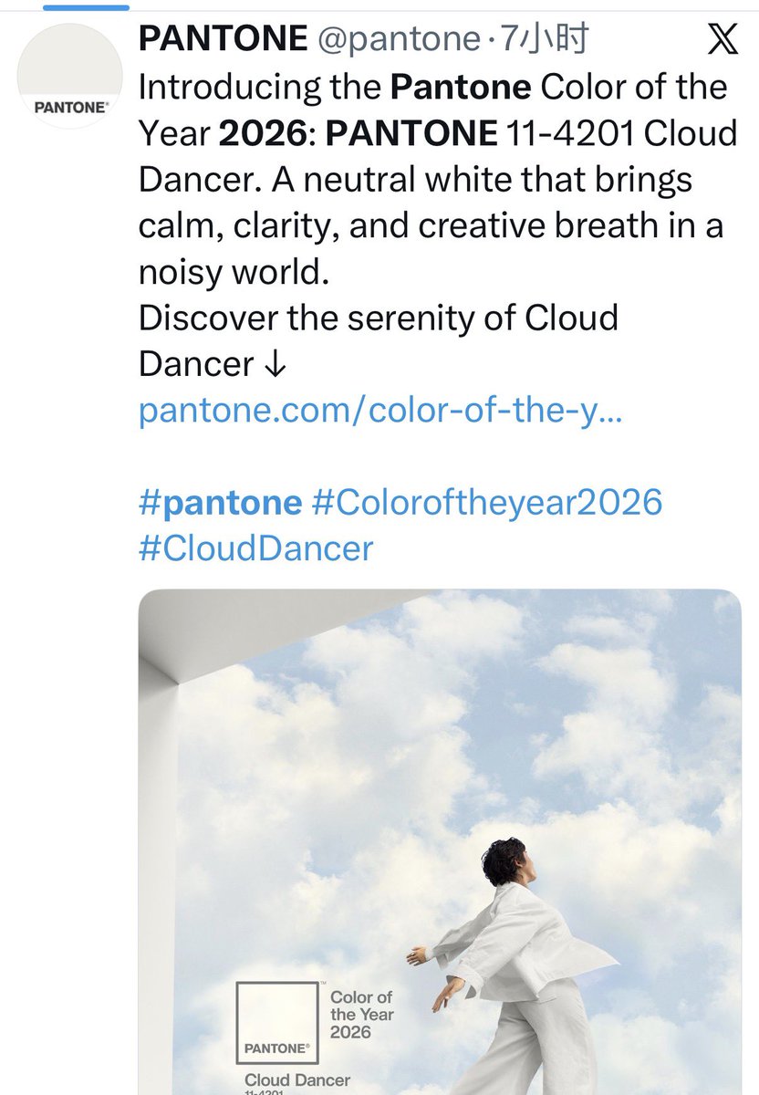 Pantone 每年宣布“年度色”，仿佛在为世界的流行文化定调。但颜色不是政治口号，它从来不属于任何人、任何机构或权威——颜色来自造物主，而不是你。
