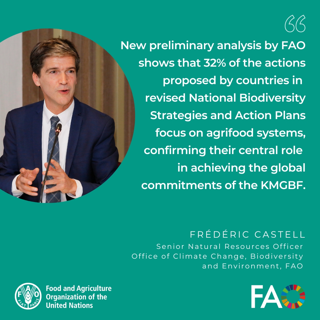 FAOclimate's tweet image. At @FAO’s 3rd Regional Dialogue on biodiversity mainstreaming in Europe &amp;amp; Central Asia, countries were urged to use #NBSAPs to turn 2030 #biodiversity goals into action. 
 
Agrifood systems offer huge potential for solutions.
Read how FAO is supporting ➡️ bit.ly/4iUdEAG