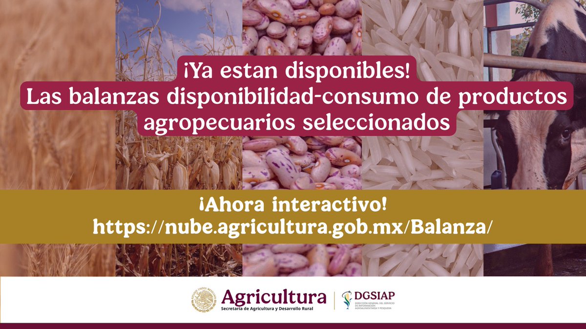 ¡Ahora interactivo!
Consulta el Análisis de balanzas disponibilidad–consumo de productos agropecuarios seleccionados, con información actualizada de maíz blanco y amarillo, frijol, arroz, trigo panificable y cristalino, carne de porcino y leche de bovino.
Reporte: