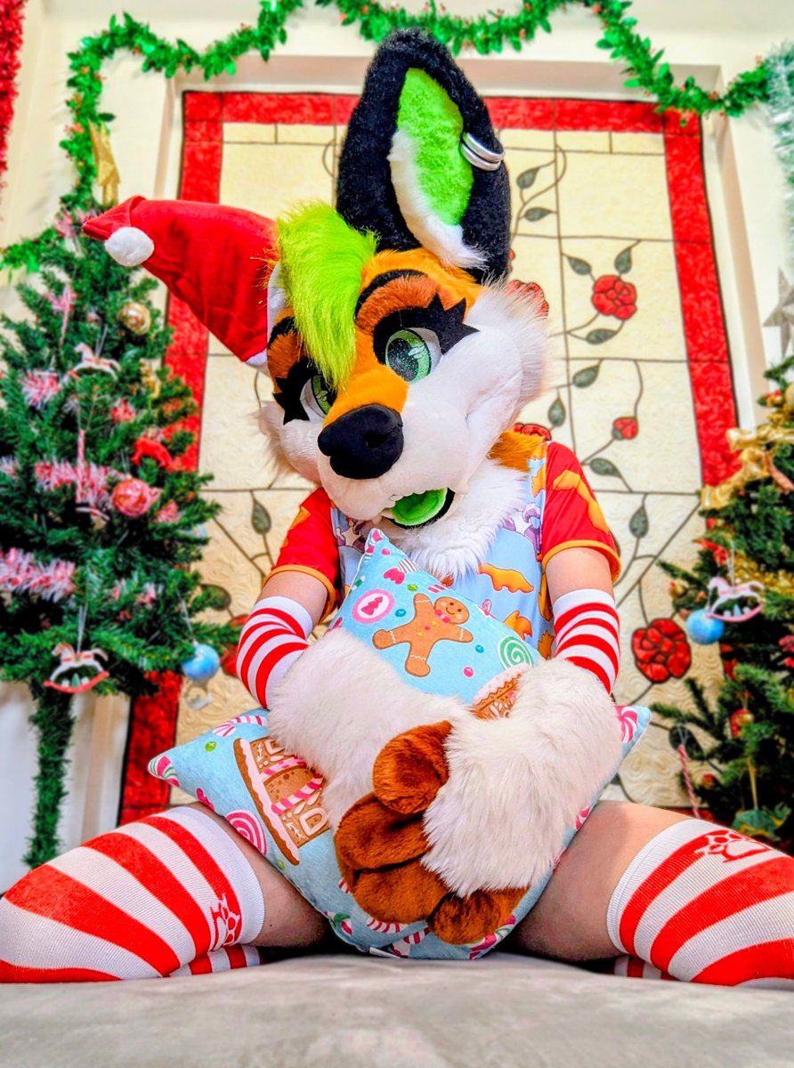 Confoxtion's tweet image. Hope your Christmas season is as bright, bold, and fuzzy as this moment! 🎅❄️💫