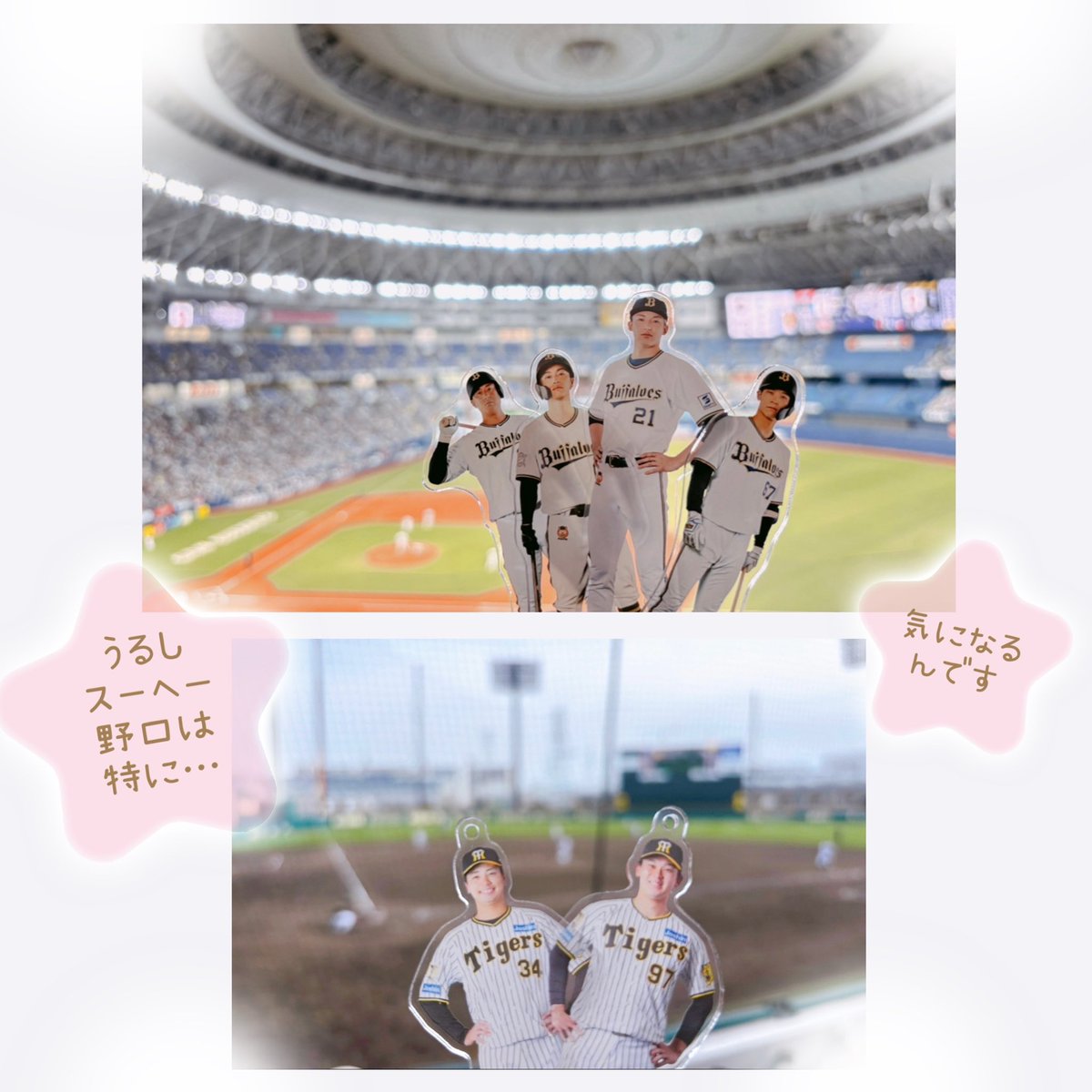 おはようございます
私は🐮🐯のファンなんです

"漆原大晟投手が引退を表明"
という報道にショックを隠せません
今季11試合
試合数は多くはないけど防御率0.00だったし…

色々思うのにまとめると
"残念 悲しい"
表現しきれない…

タイガースアカデミーのコーチ就任 か…
"幸せな野球人生だった" か…
