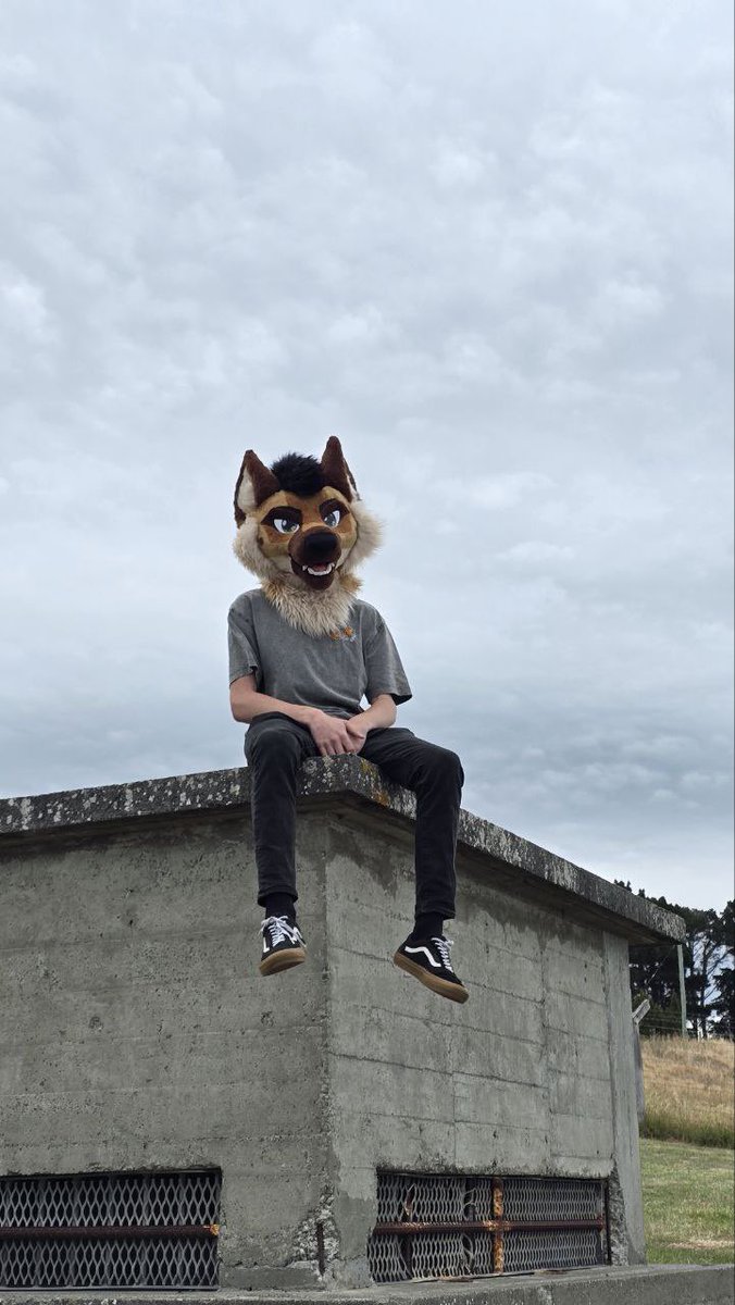 Hugo Shep 🐾 tweet media