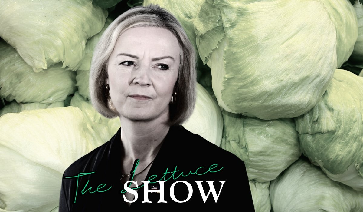 Narrator: In a world of grifting right-wing conspiracy theory nutjobs, only one was beaten by a lettuce.

THEY tried to silence her..

THEY tried to stop her by hiding her keys in the other room..

THEY are a figment of her imagination..

This December, she digs a deeper hole