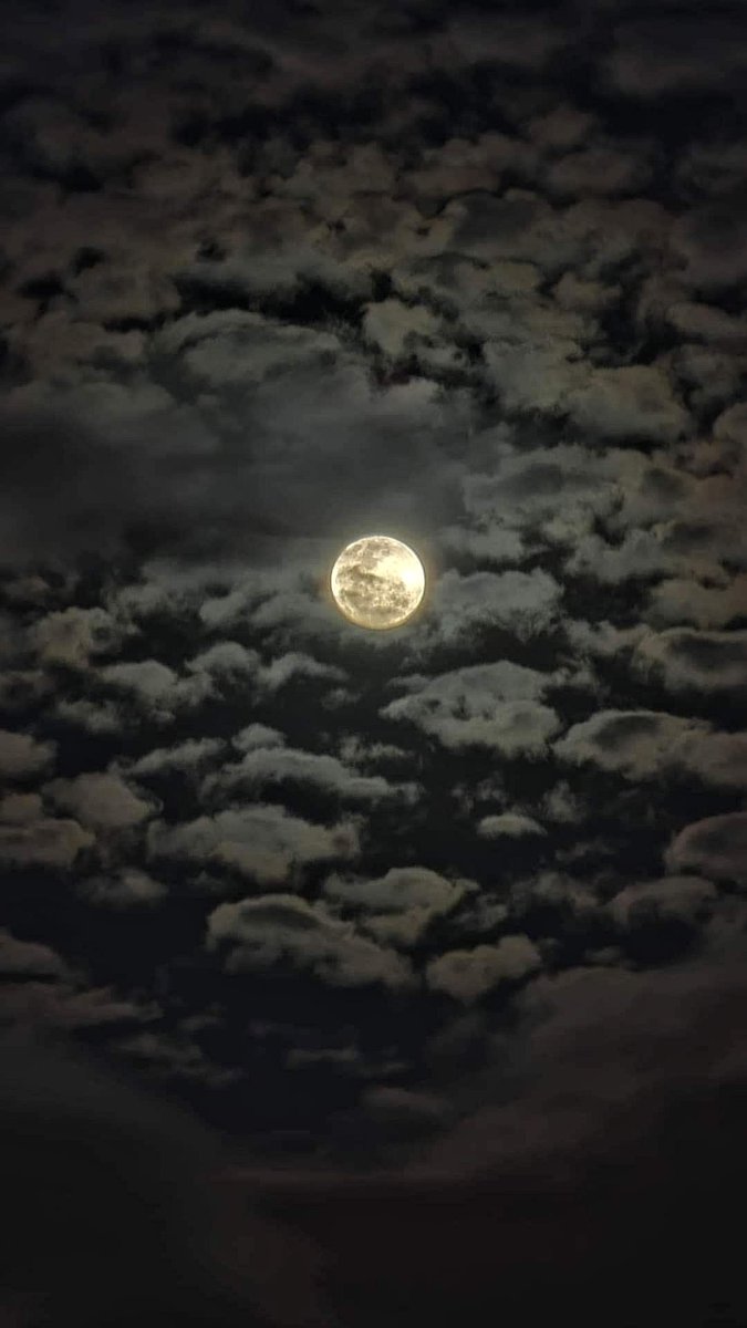 " نُور القمر مهما السحايب تغطيه
واضح مثل وجهٍ عن البال ماغاب "