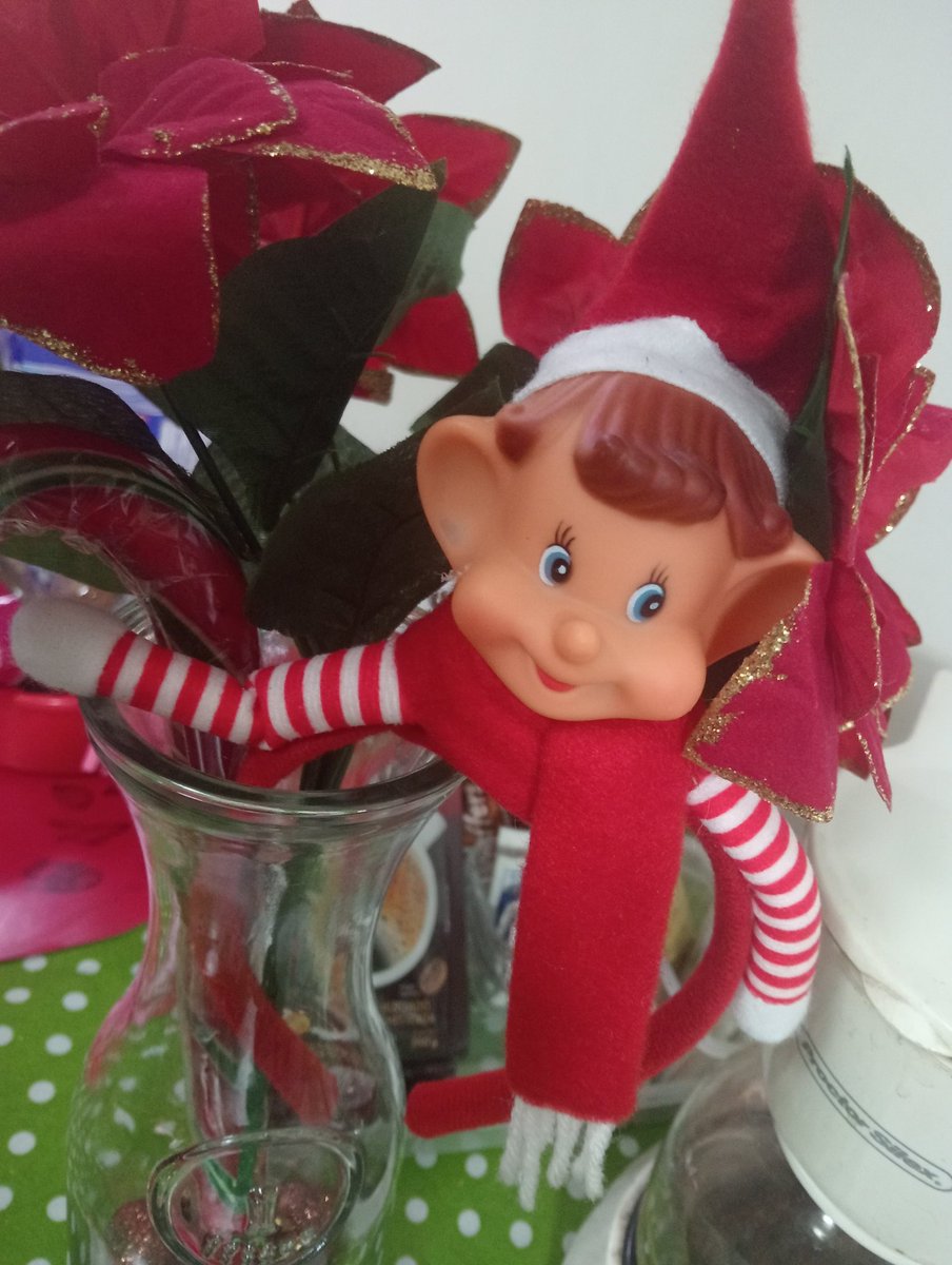 Melina Islas (@melinaislas4) on Twitter photo 