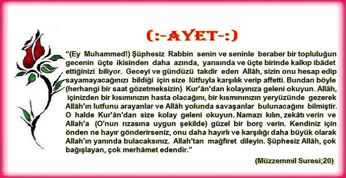 Gönülden İnciler (@omrysfcs) on Twitter photo 