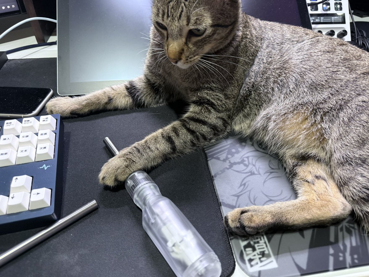 Mimory 😈🥚【ABYSS】 tweet media