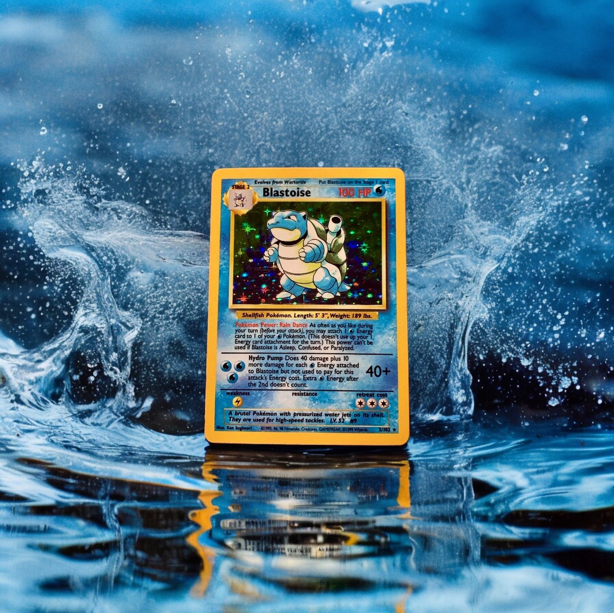 DachshundWizard 🧙‍♂️ tweet media