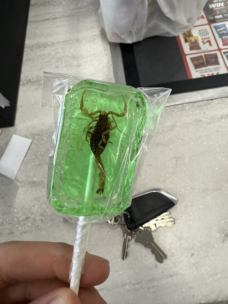 Puffers_Chronic's tweet image. Ain’t seen one these mfs since I was in Mexico