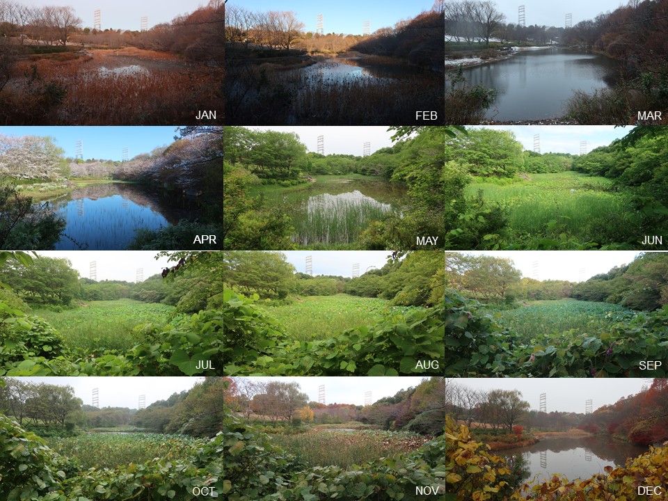 おはようございます☀️
ころころ広場の池を定点観測
一年って短いなぁ～
今日は長くなりそうだけど...
#ころころ広場 #ズーラシア #ZOORASIA