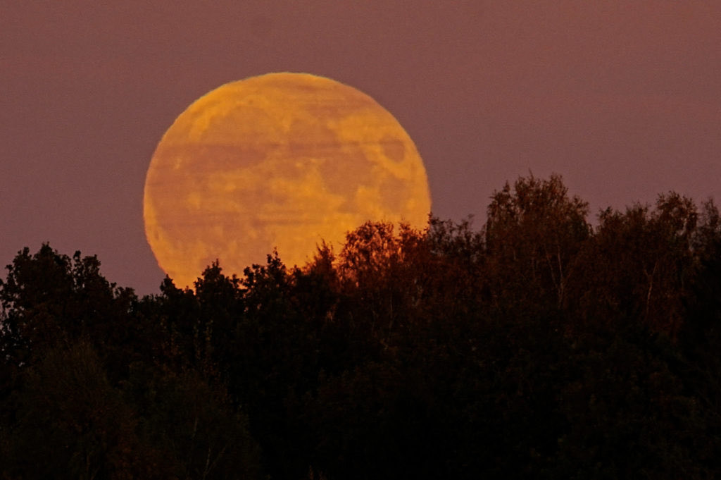 The rare super moon will be out tonight. 
Won’t see it again until 2042.