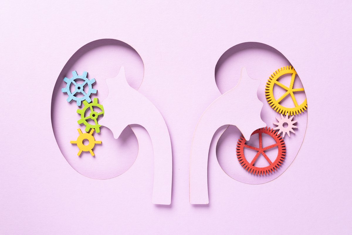 SequenceMd's tweet photo. Alport syndrome is a rare genetic condition that affects kidneys, hearing and vision. Genetic testing can confirm a diagnosis, guide care and help assess the risk of complications.

Learn more: https://t.co/x0U5xFlqIn

#genetictesting #sequencemd #raredisorders #alportsyndrome https://t.co/M04upsQRrc
